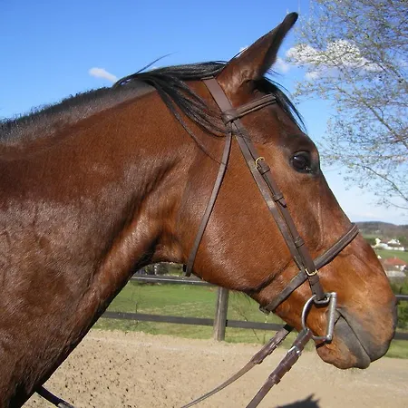 Equinoxe * Moosch